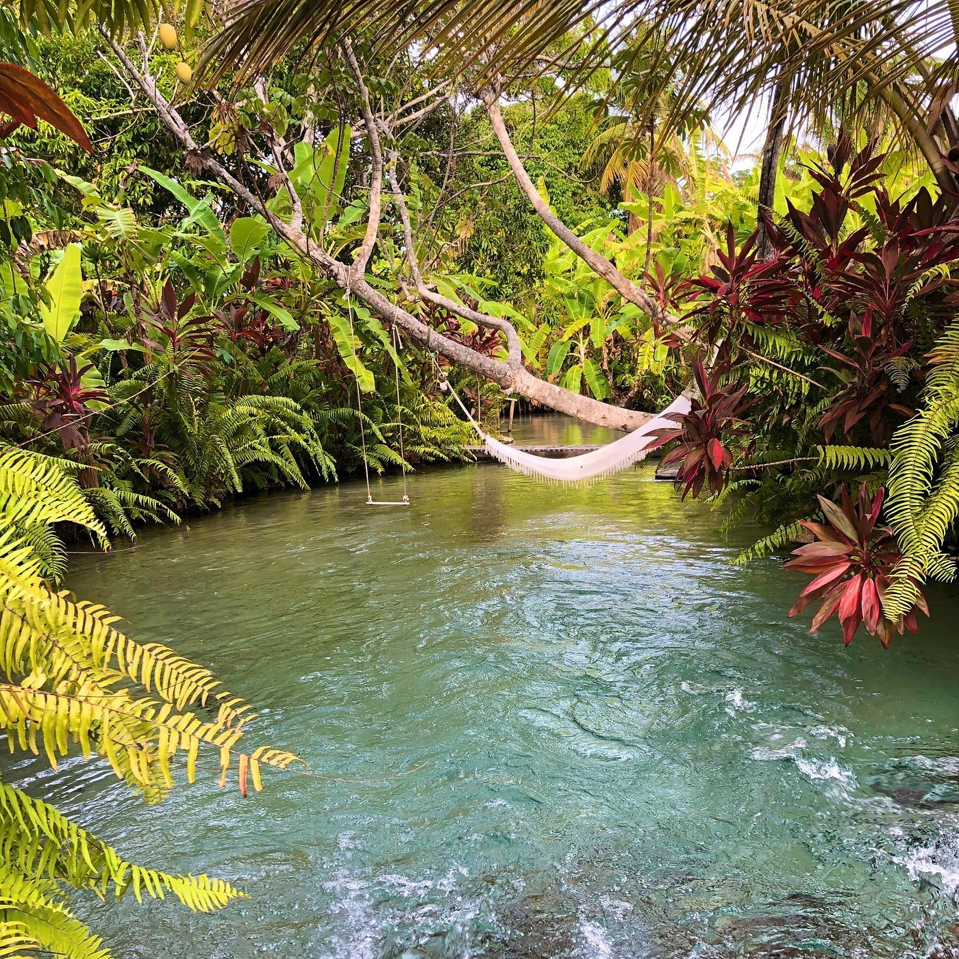Ecoturismo e natureza em Pureza RN